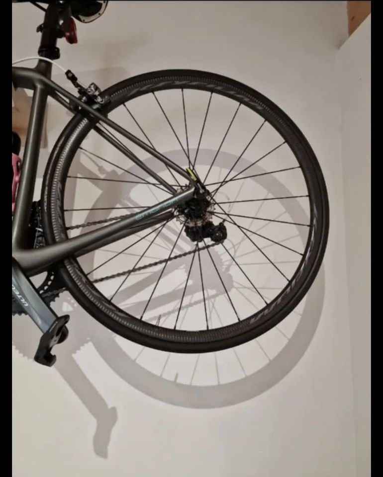 Used Trek Sl 6 W 2018 Road & Gravel, Light Gray — image 2 of 5