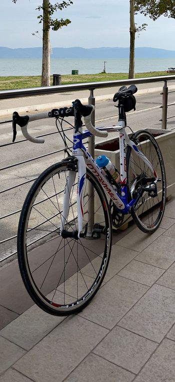 Used Pinarello FP Uno 2012 Road & Gravel — image 2 of 3