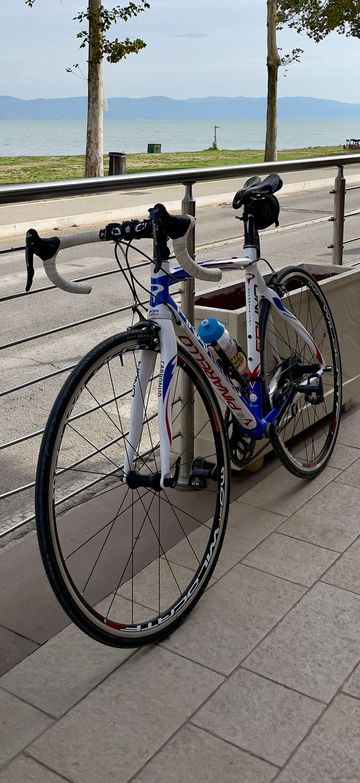 Used Pinarello FP Uno 2012 Road & Gravel, Blue — image 2 of 3