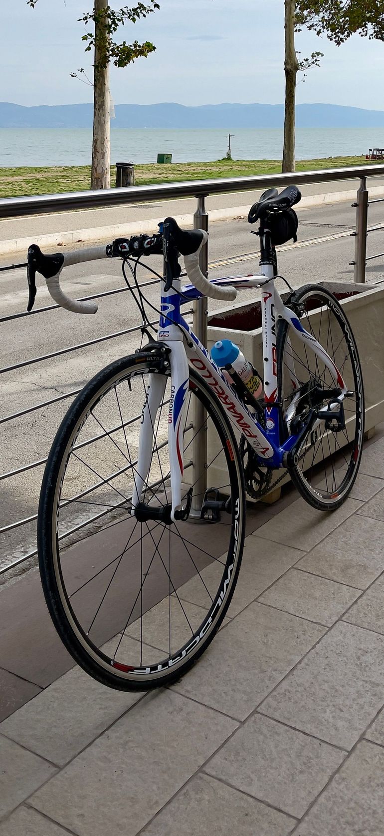 Used Pinarello FP Uno 2012 Road & Gravel — image 2 of 3
