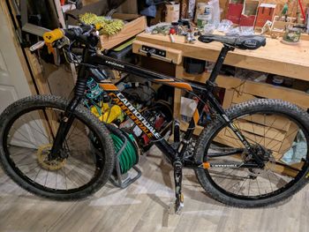 Cannondale, Taurine