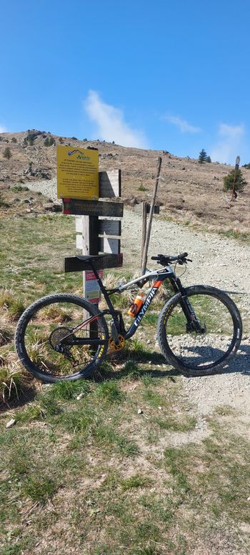 Used Olympia F1X 2022 Mountainbike, White — image 3 of 3