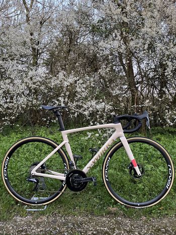 Specialized Tarmac SL7 Pro - SRAM Force eTap AXS 2023 Frameset 2023