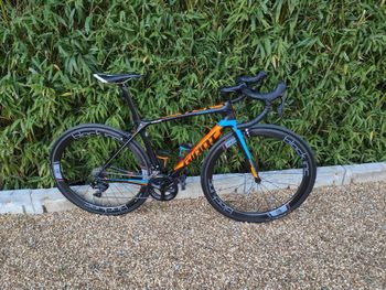 Giant, TCR Advanced 2 2019 Frameset