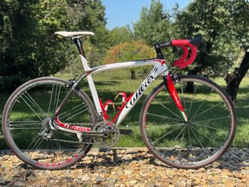 Wilier, Triestina 101