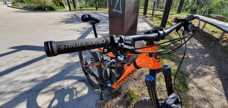 Cannondale trigger online 2019