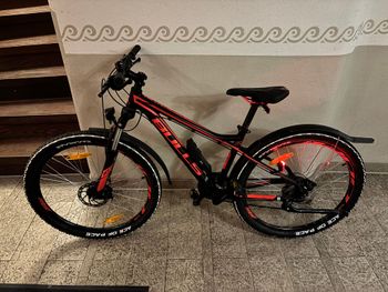 BULLS, Streetracer