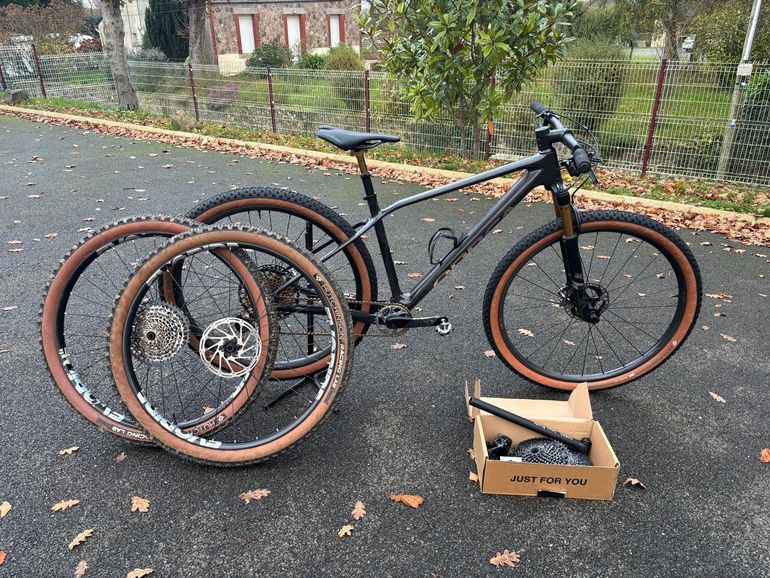 ORBEA ALMA M LTD 2024