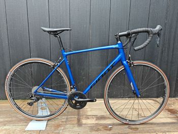 Giant Contend 1 2022 2022