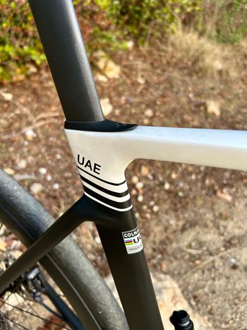 Used Colnago Uae 2025 Road & Gravel — image 5 of 12