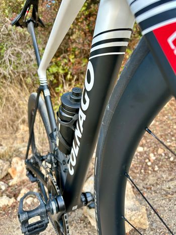 Used Colnago Uae 2025 Road & Gravel — image 9 of 12