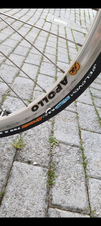 Used Tommasini Super Prestige 1987 Road & Gravel, Black — image 11 of 14