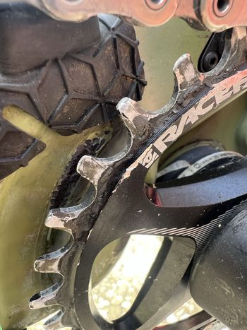 Used Canyon Torque 29 CF 9 2023 2023 Mountainbike, Green, 29 — image 8 of 14
