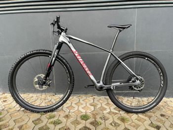 Used Specialized Stumpjumper Pro 29 World Cup 2016 Mountainbike, Light Gray — image 2 of 9