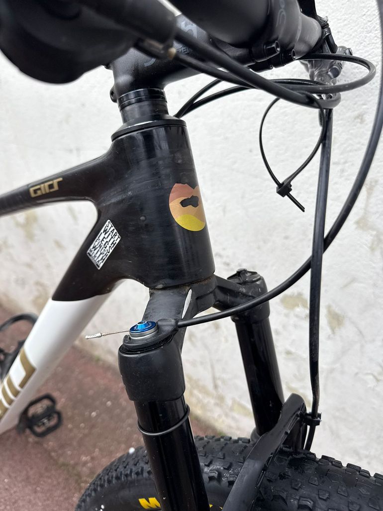 Used GIRS 2024 2024 Mountainbike — image 13 of 14