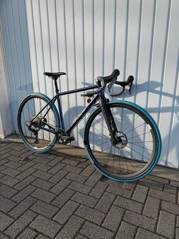 Sour Bicycles, Clueless
