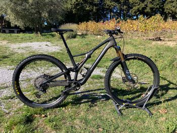Specialized, Stumpjumper Shimano XTR