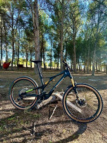 Specialized, S-Works Turbo Levo SL 2022