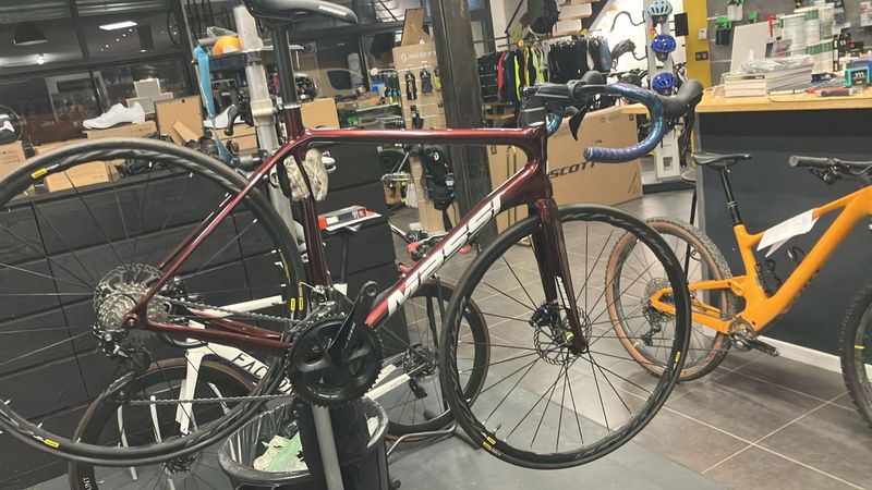 Used Massi Team 2024 Road & Gravel