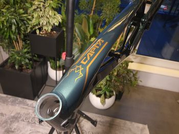 Used YT Industries Capra Frameset 2020 Mountainbike, Verde — image 6 of 8