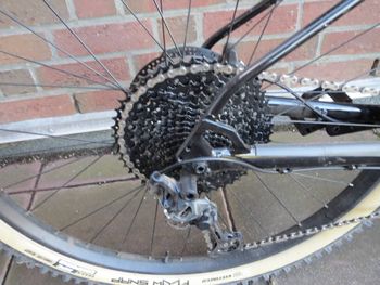 Used Marin Pine Mountain 2 2024 2024 Mountainbike — image 2 of 3