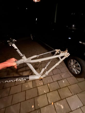 Used Cannondale Trail Women's 5 2023 Frameset 2023 Mountainbike, Light Gray, 29 — image 3 of 7