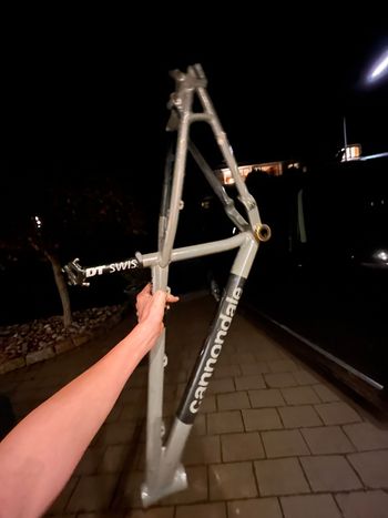Used Cannondale Trail Women's 5 2023 Frameset 2023 Mountainbike, Light Gray, 29 — image 2 of 7