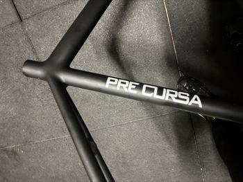 Dolan Pre Cursa Track Bike - Alpina-Custom 2024 Frameset 2024 Road & Gravel d'occasion — image 3 sur 5