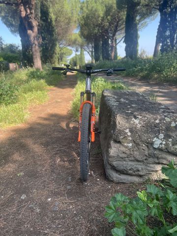 Brugt Specialized S-Works Epic EVO 2023 2023 Mountainbike — billede 5 af 6