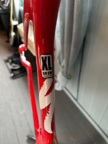 Käytetty Specialized Transition Pro 2009 Frameset 2009 Road & Gravel — kuva 2 / 4