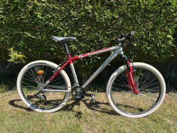 ROCKRIDER, S2