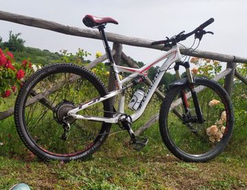 Brugt Specialized Camber Comp EVO 29 2014 2014 MTB