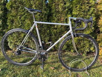 De Rosa, Professionele