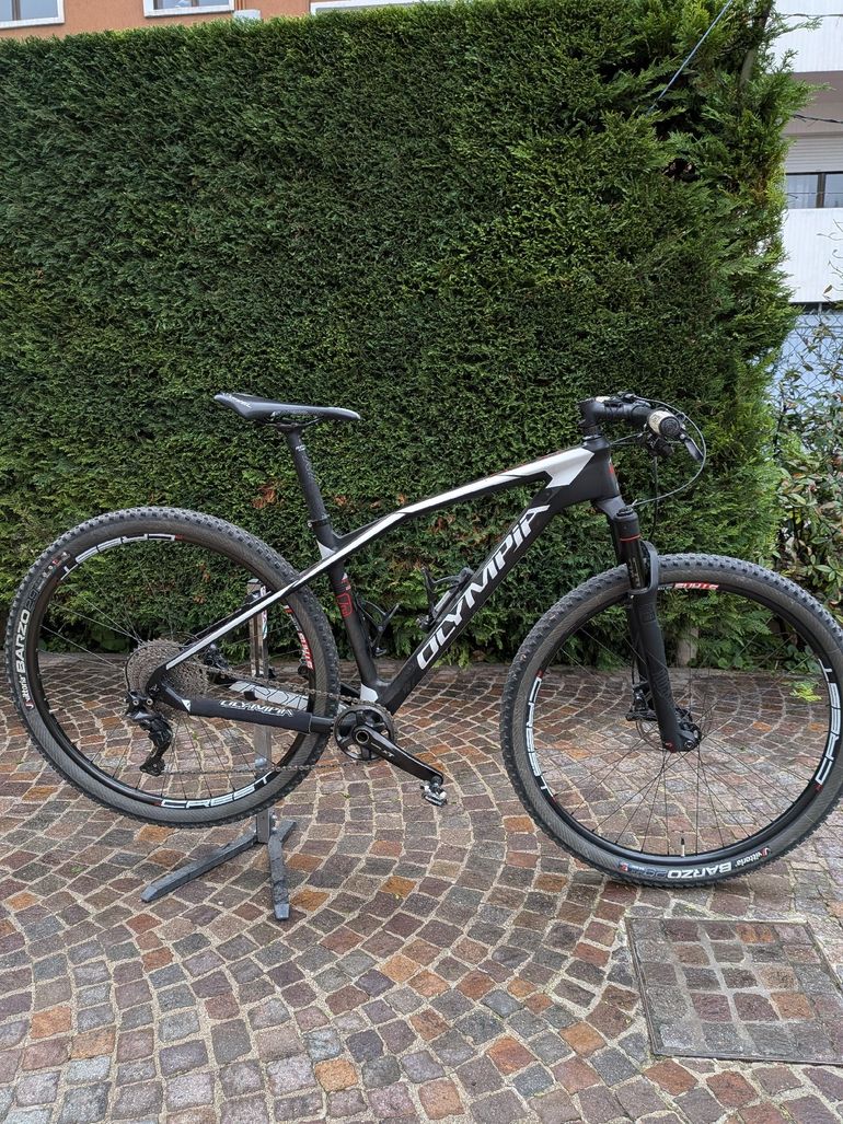 Used Olympia Iron 2017 Mountainbike, Black — image 1 of 4