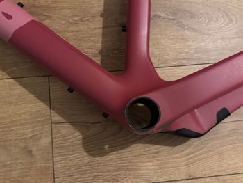 Used Canyon Grizl CF SL 7 eTap 2022 Frameset 2022 Road & Gravel, Red — image 3 of 12