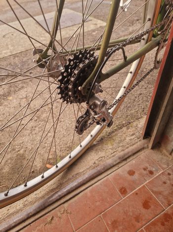 Used NO NAME Bicicletta Nencini Eroica/Vintage (Anni ‘60-’70) 1970 Road & Gravel — image 8 of 8