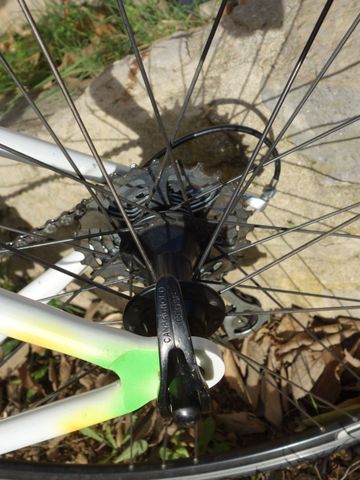 Brugt Vintage Cavallo Marino Picca 1999 Road & Gravel — billede 12 af 22