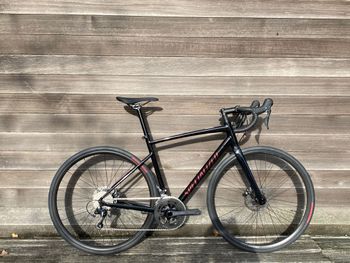 Specialized, Allez Sport 2025
