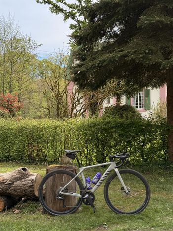 Canyon, Endurace CF SL 8 Di2 2022