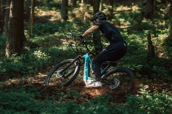Used Kellys THEOS F60 SH 29"/27.5" 725Wh 2023 2023 Mountainbike, Blue, 29, 27.5 — image 6 of 6