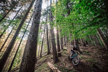 Used Kellys THEOS F60 SH 29"/27.5" 725Wh 2023 2023 Mountainbike, Blue, 29, 27.5 — image 3 of 6