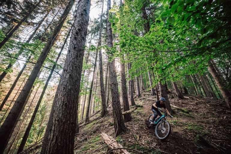 Used Kellys THEOS F60 SH 29"/27.5" 725Wh 2023 2023 Mountainbike, Blue, 29, 27.5 — image 3 of 6