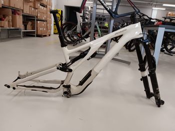 Specialized, Stumpjumper EVO Expert 2024 Frameset