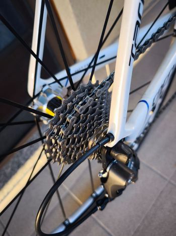 Used Specialized Tarmac SL4 Comp Ultegra 2014 2014 Road & Gravel, White — image 6 of 35