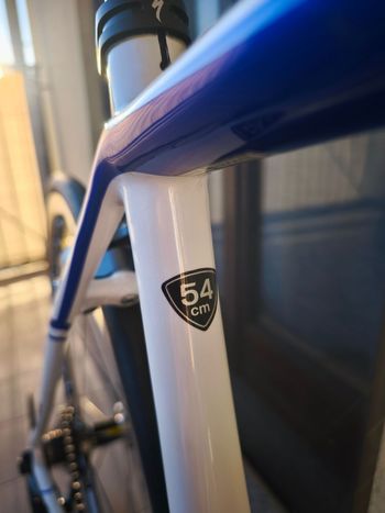 Used Specialized Tarmac SL4 Comp Ultegra 2014 2014 Road & Gravel, White — image 28 of 35
