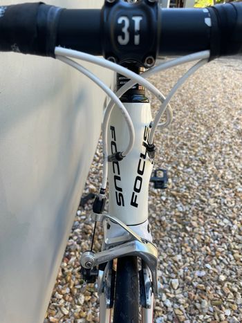 Used Focus Pro C2 2011 Road & Gravel, White — image 8 of 13