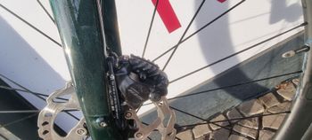 Used Trek Domane SL 6 Gen 4 2025 2025 Road & Gravel, Green — image 11 of 25