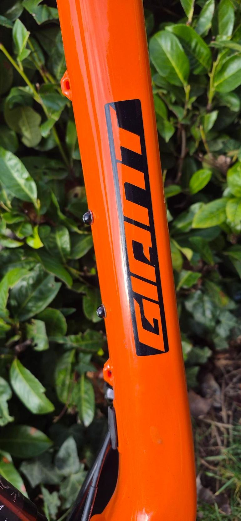Used Giant Anthem 27.5 SLX/XT 2014 Mountainbike — image 22 of 23