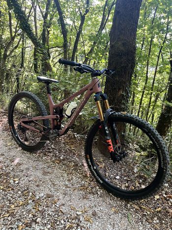 Used Propain Tyee 6.1 AL 2025 Mountainbike, Violett, 29 — image 1 of 15