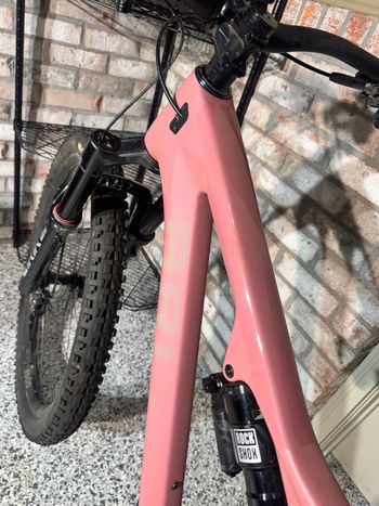 Used Ari Delano Peak  2025 2025 Mountainbike, Black — image 18 of 18